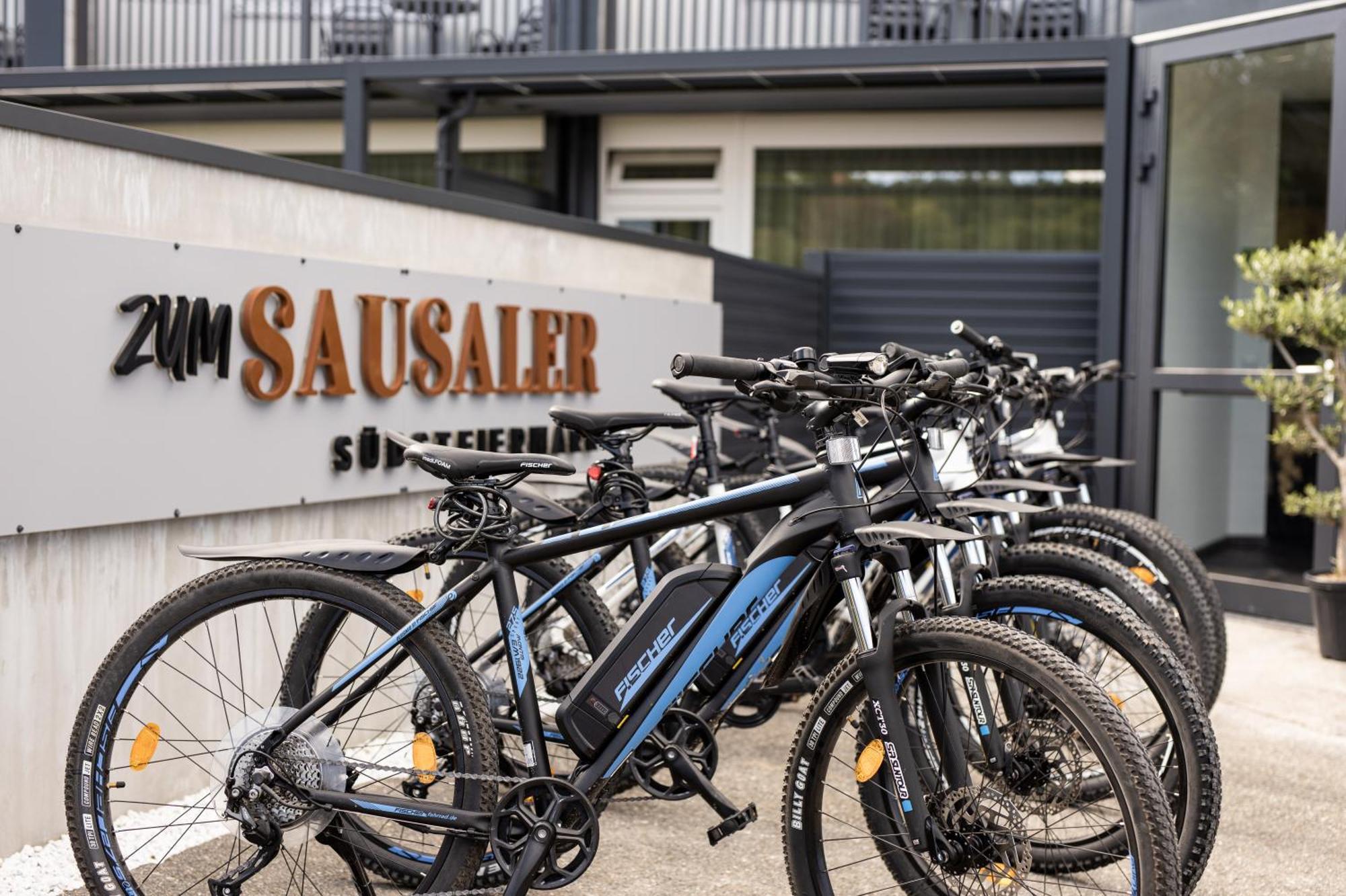 Zum Sausaler - Boutique Hotel-Pension Suedsteiermark Sankt Nikolai im Sausal Екстериор снимка